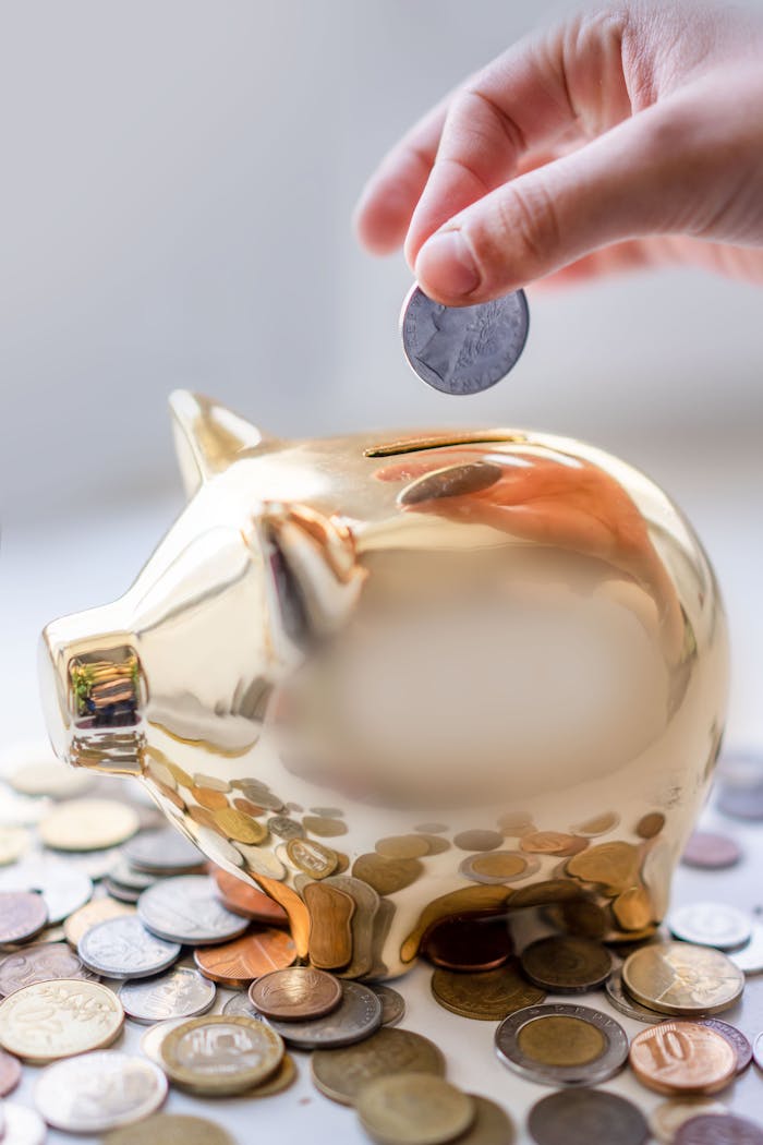 contact-img Hand placing coin into a golden piggy bank surrounded by coins, symbolizing savings.